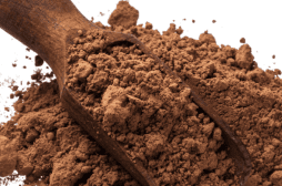 Cocoa Powder