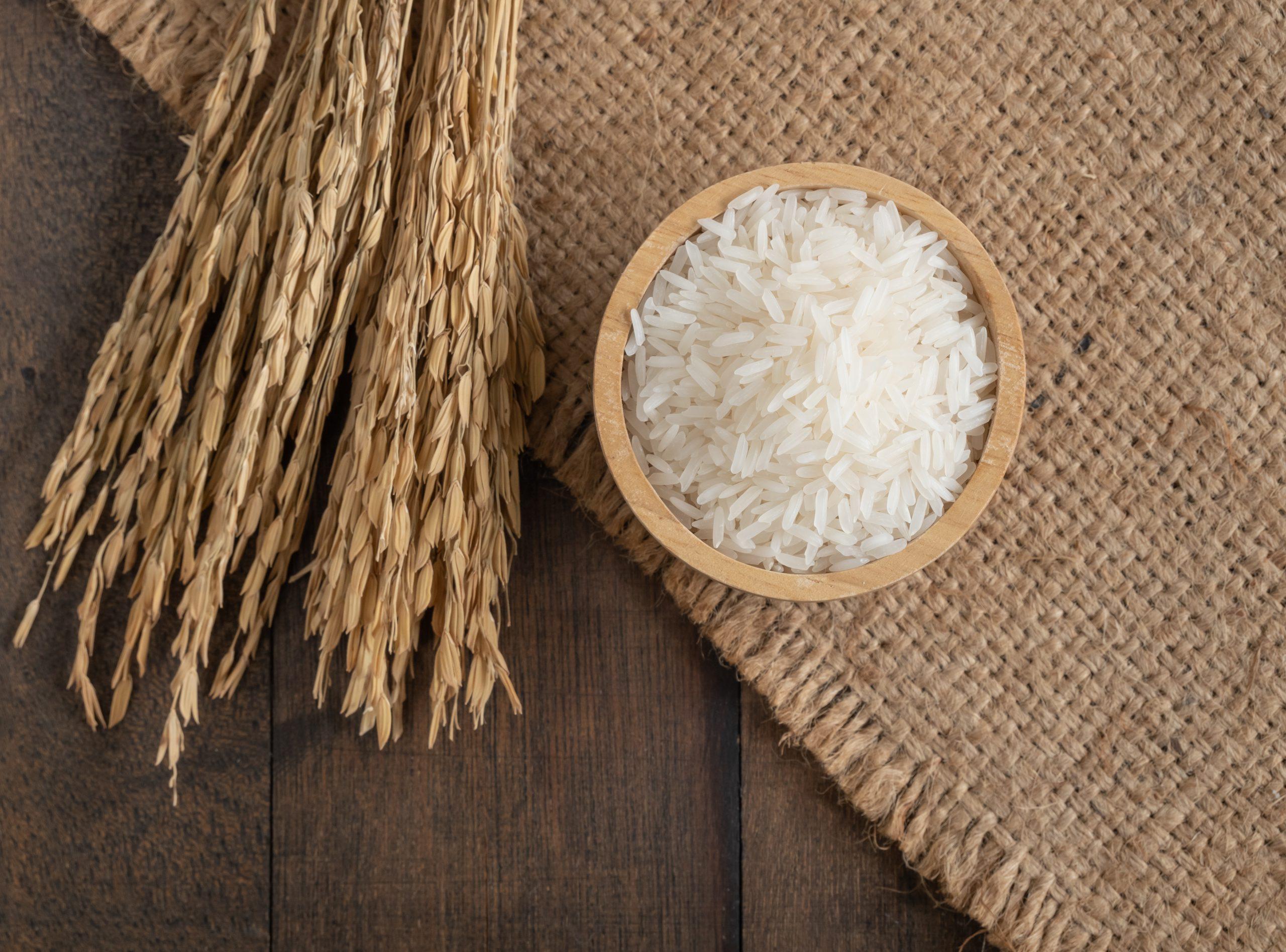 Jasmine Rice