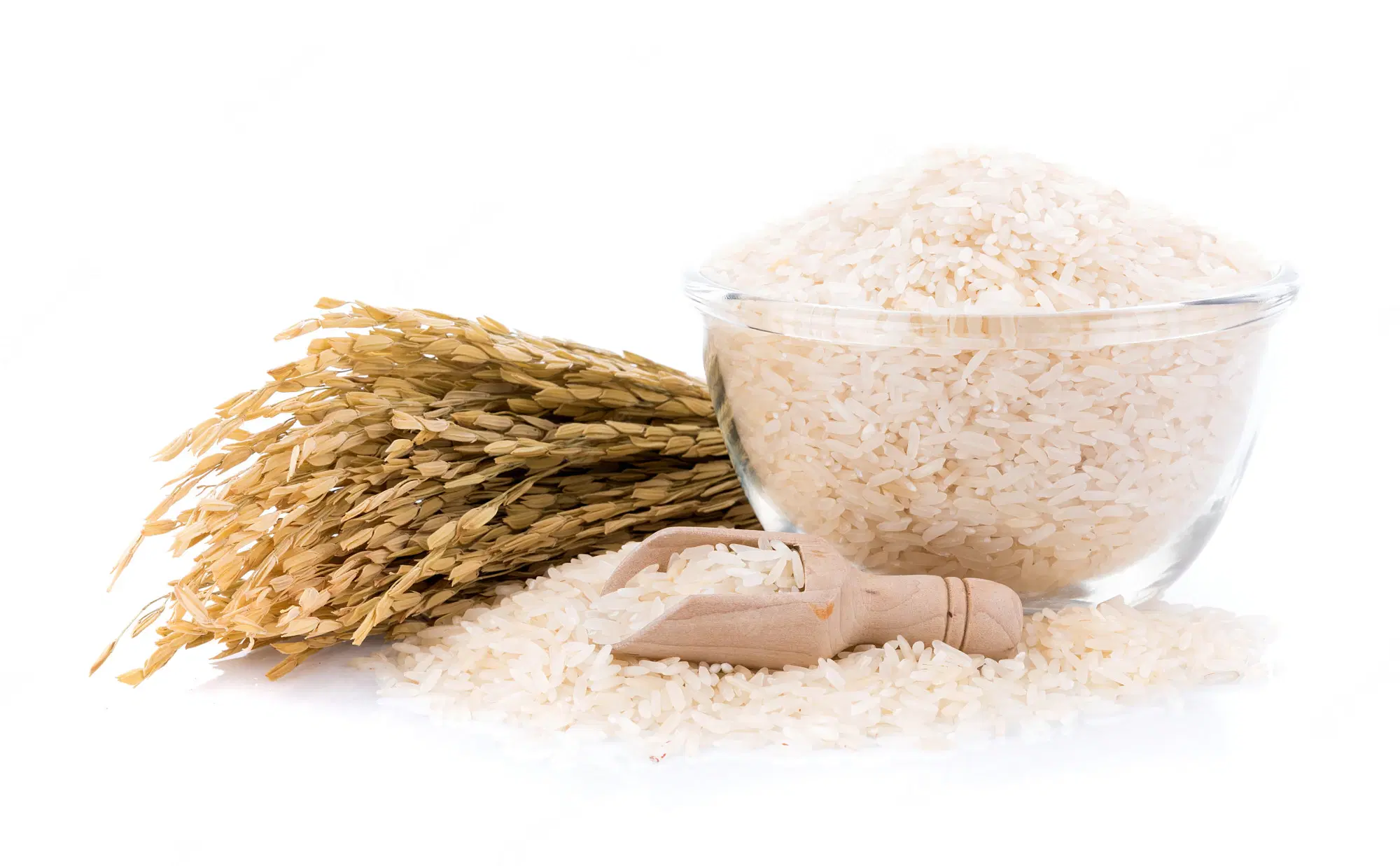 Rice Bowl