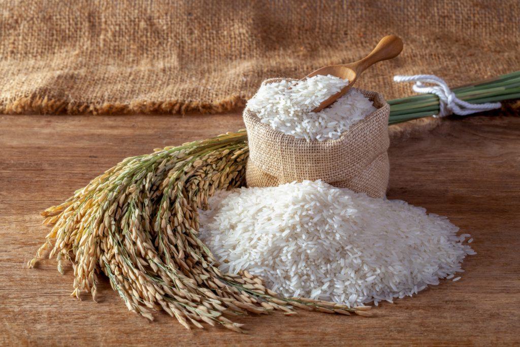 White Rice
