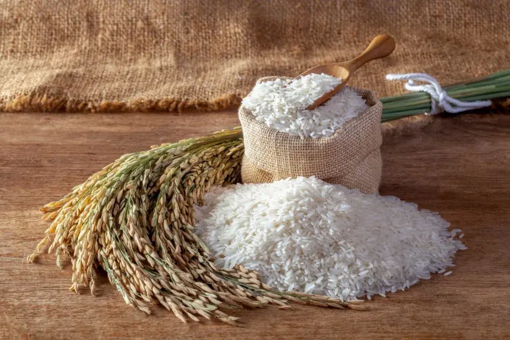 White Rice